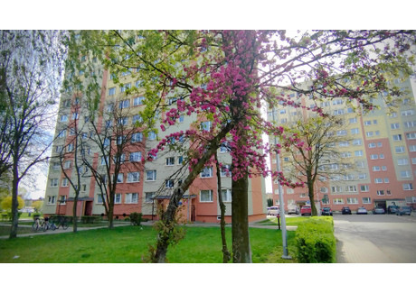 Mieszkanie na sprzedaż - Aleja Pokoju Sieradz, sieradzki, 62,5 m², 398 000 PLN, NET-1538625446