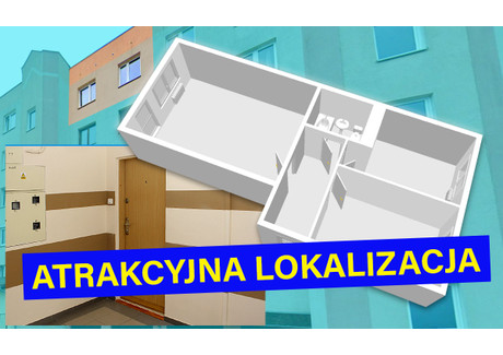 Mieszkanie na sprzedaż - Konstruktorów Os. Zastalowskie, Zielona Góra, 61,6 m², 449 000 PLN, NET-1539628592