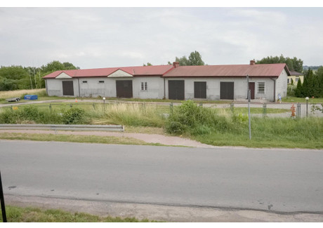 Magazyn do wynajęcia - Nadrzeczna 4 Kurów, puławski, 350 m², 6500 PLN, NET-1539741008