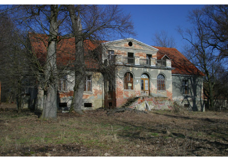 Obiekt zabytkowy na sprzedaż - Rogów Wołowski, Wińsko, wołowski, 470 000 m², 3 200 000 PLN, NET-1536361697