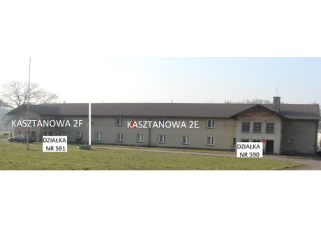 Działka na sprzedaż - Kasztanowa 2F Sośnicowice, gliwicki, 7600 m², 1 800 000 PLN, NET-1539512629