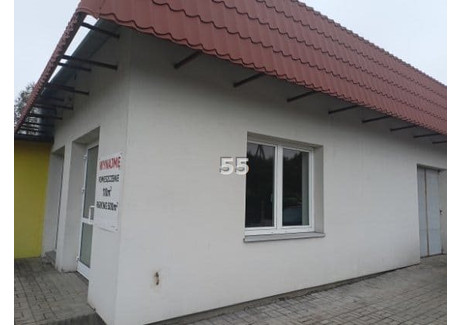 Komercyjne do wynajęcia - Pabianice, Pabianicki, 110 m², 4000 PLN, NET-P55-LW-11694-9