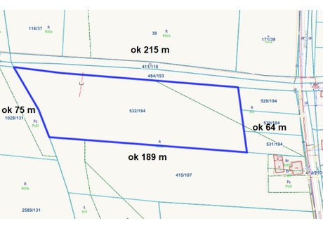 Działka na sprzedaż - Laryszów, Zbrosławice, Tarnogórski, 12 403 m², 620 150 PLN, NET-2049