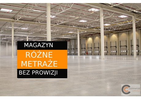 Magazyn do wynajęcia - Nowa Huta, Kraków, Kraków M., 2400 m², 58 000 PLN, NET-CCN-HW-3436