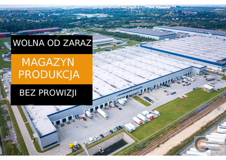 Magazyn do wynajęcia - Sosnowiec, Sosnowiec M., 3401 m², 61 546 PLN, NET-CCN-HW-3338