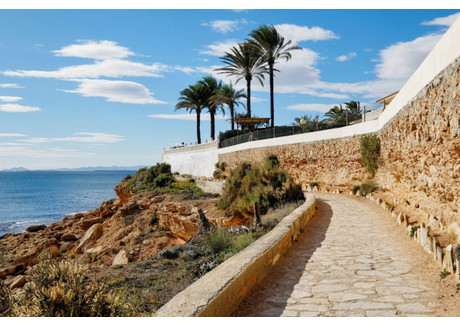 Mieszkanie na sprzedaż - Playa Flamenca, Alicante, Walencja, Hiszpania, 30 m², 66 000 Euro (281 820 PLN), NET-10376