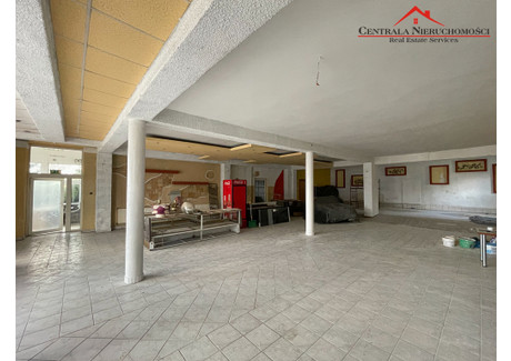 Lokal do wynajęcia - Czerniewice, Toruń, 290 m², 5000 PLN, NET-73/4957/OHW