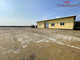 Komercyjne do wynajęcia - Ciechocin, Golubsko-Dobrzyński, 220 m², 7500 PLN, NET-60/4957/OHW