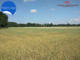 Rolny na sprzedaż - Cegielnik, Zławieś Wielka, Toruński, 17 338 m², 1 213 660 PLN, NET-623/4957/OGS