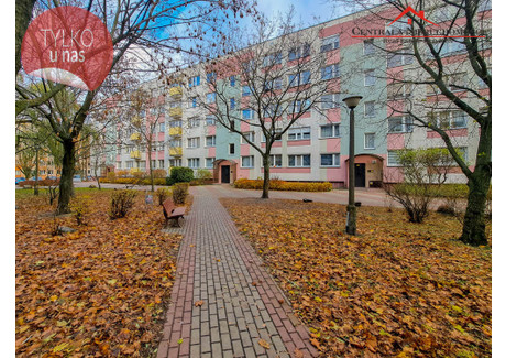 Mieszkanie na sprzedaż - Ignacego Łyskowskiego Rubinkowo, Toruń, 62,2 m², 479 000 PLN, NET-1516/4957/OMS