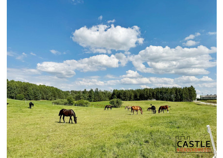 Działka na sprzedaż - Borek Kamienny, Sulęczyno (Gm.), Kartuski (Pow.), 1271 m², 210 000 PLN, NET-2024/GD/KK/10/A