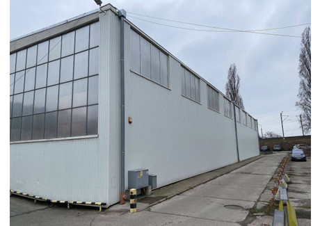 Fabryka, zakład do wynajęcia - Fabryczna, Wrocław, 3250 m², 61 750 PLN, NET-3639880749
