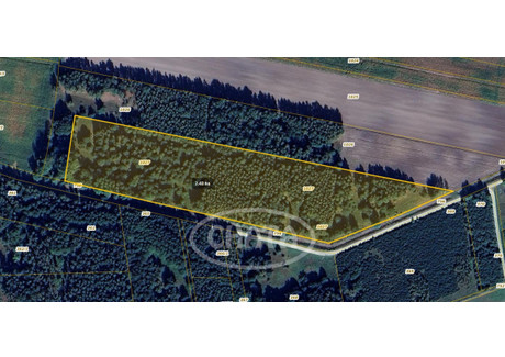 Działka na sprzedaż - Osjaków, Wieluński, 24 700 m², 720 000 PLN, NET-135197