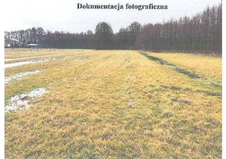 Działka na sprzedaż - Lecha Władysławów, Turecki, 2728 m², 85 000 PLN, NET-40856/3186/OGS