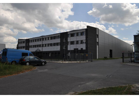 Magazyn, hala na sprzedaż - Starokrakowska Radom, 27 059 m², 24 000 000 PLN, NET-9872/3186/OOS