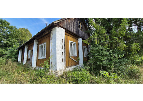 Działka na sprzedaż - Rybotycze, Fredropol, Przemyski, 4300 m², 127 000 PLN, NET-40826/3186/OGS