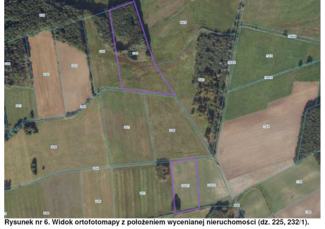 Działka na sprzedaż - Niezgoda, Żmigród, Trzebnicki, 64 600 m², 36 333 PLN, NET-40786/3186/OGS