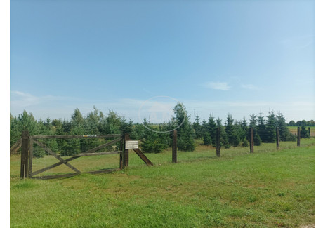 Działka na sprzedaż - Golędzinów, Oborniki Śląskie, Trzebnicki, 55 000 m², 1 199 990 PLN, NET-300683