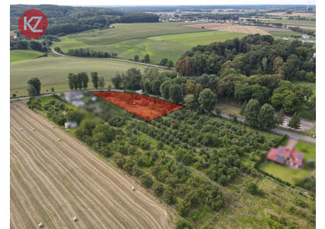 Działka na sprzedaż - Brzostowo, Miasteczko Krajeńskie, Pilski, 3797 m², 169 000 PLN, NET-KZSC-GS-4287