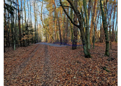 Działka na sprzedaż - Za Gajem Petrykozy, Żabia Wola, Grodziski, 800 m², 111 000 PLN, NET-4211