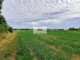 Rolny na sprzedaż - Zemborzyce, Zemborzyce Kościelne, Lublin, Lublin M., 24 252 m², 4 281 540 PLN, NET-AMN-GS-32450