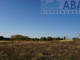 Rolny na sprzedaż - Golina-Kolonia, Golina (Gm.), Koniński (Pow.), 48 400 m², 480 000 PLN, NET-692