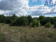 Rolny na sprzedaż - Skulsk, Skulsk (gm.), Koniński (pow.), 6791 m², 340 000 PLN, NET-1405