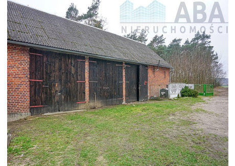 Garaż do wynajęcia - Józefowo, Rzgów (Gm.), Koniński (Pow.), 102 m², 1000 PLN, NET-1784