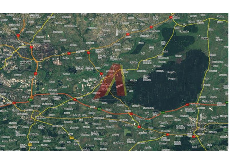 Działka na sprzedaż - Podgrabie, Niepołomice, Wielicki, 15 000 m², 3 751 000 PLN, NET-205252