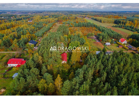 Działka na sprzedaż - Grzegorzewice, Żabia Wola, Grodziski, 6600 m², 790 000 PLN, NET-1435/4790/OGS