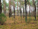 Leśne na sprzedaż - Otwock, Otwocki, 3255 m², 125 000 PLN, NET-1414/4790/OGS