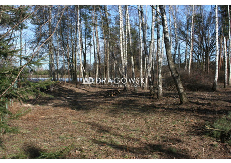 Działka na sprzedaż - Kaliska, Łochów, Węgrowski, 3900 m², 95 000 PLN, NET-1417/4790/OGS