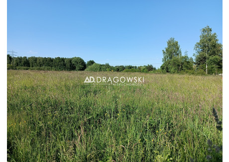 Działka na sprzedaż - Chynów, Grójecki, 1000 m², 100 000 PLN, NET-1424/4790/OGS