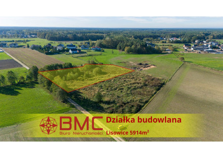 Działka na sprzedaż - Dolna Lisowice, Pawonków, 5914 m², 340 000 PLN, NET-223585