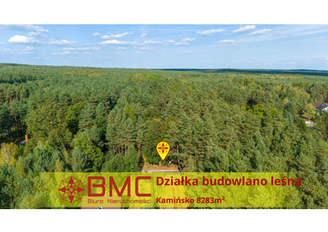 Działka na sprzedaż - Kamińsko, Przystajń, 8283 m², 75 000 PLN, NET-791383