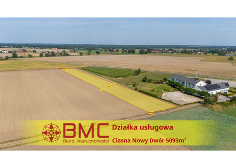 Działka na sprzedaż - Nowy Dwór, Ciasna, 5093 m², 129 000 PLN, NET-819987