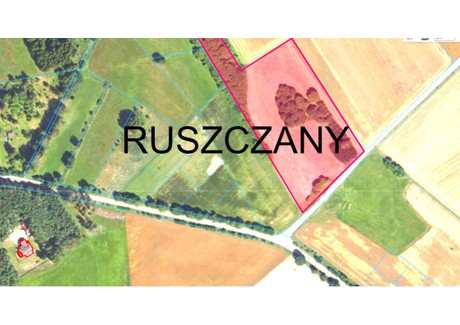 Działka na sprzedaż - Ruszczany, Choroszcz, Białostocki, 22 100 m², 906 000 PLN, NET-942131