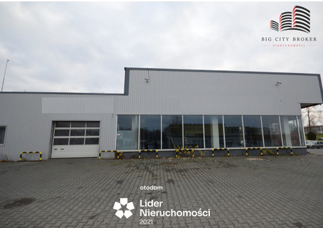 Lokal do wynajęcia - Bronowice, Lublin, 280 m², 8400 PLN, NET-547492