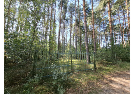 Działka na sprzedaż - Jeżynowa Czarka, Wysoka Lelowska, Żarki, Myszkowski, 2321 m², 155 000 PLN, NET-765052