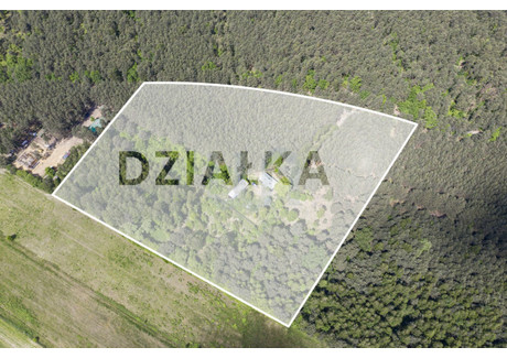 Działka na sprzedaż - Wola Władysławowska, Garwolin, Garwoliński, 35 000 m², 1 200 000 PLN, NET-394799