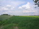 Rolny na sprzedaż - Przęsławice, Pniewy, Grójecki, 14 715 m², 323 730 PLN, NET-API-GS-93733