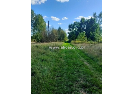 Działka na sprzedaż - Secyminek, Leoncin, Nowodworski, 7428 m², 742 800 PLN, NET-API-GS-144265