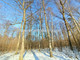 Leśne na sprzedaż - Jagodowa Zalesie Górne, Piaseczno, Piaseczyński, 2656 m², 630 000 PLN, NET-API-GS-144049