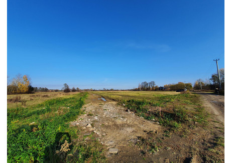 Działka na sprzedaż - Duchnów, Wiązowna, Otwocki, 12 390 m², 1 950 000 PLN, NET-237