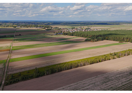 Działka na sprzedaż - Emilianów, Radzymin, Wołomiński, 11 039 m², 3 532 480 PLN, NET-777/2517/OGS