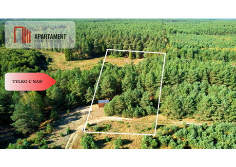 Działka na sprzedaż - Wysoka, Cekcyn, Tucholski, 5474 m², 299 000 PLN, NET-213288