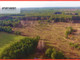 Rolny na sprzedaż - Godzimierz, Szubin, Nakielski, 1294 m², 64 560 PLN, NET-812645
