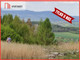 Rolny na sprzedaż - Kłodzko, Kłodzki, 9850 m², 738 750 PLN, NET-156741