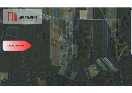 Działka na sprzedaż - Sucha, Lubiewo, Tucholski, 3200 m², 109 000 PLN, NET-222319