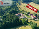 Lokal usługowy na sprzedaż - Bukowa Kamionki, Pieszyce, Dzierżoniowski, 9234 m², 3 900 000 PLN, NET-617260